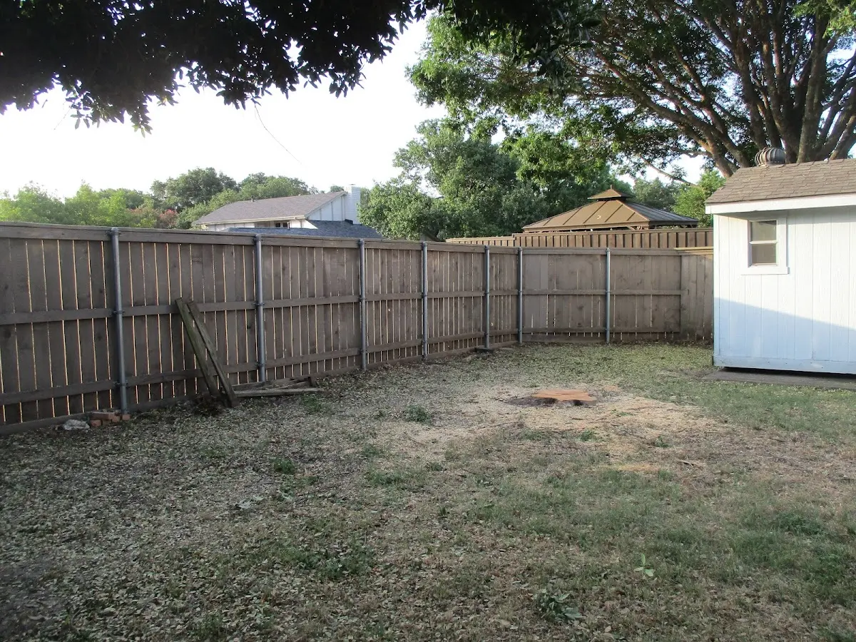 Cleared yard after professional tree removal in Markleton