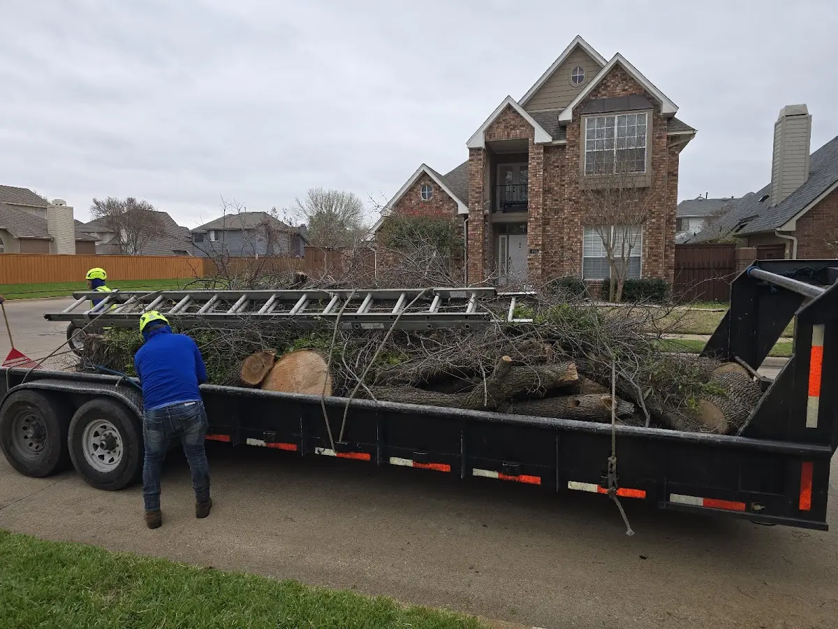Expert Tree Fertilization with proper safety equipment in Markleton